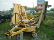 batwing1.jpg